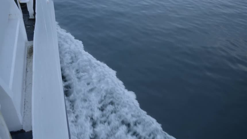 A boat travels on the water