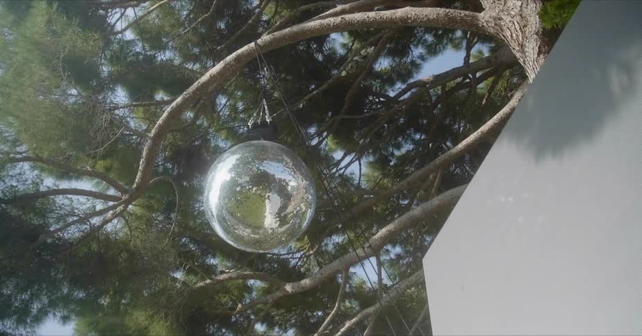 The disco ball hangs from the branch