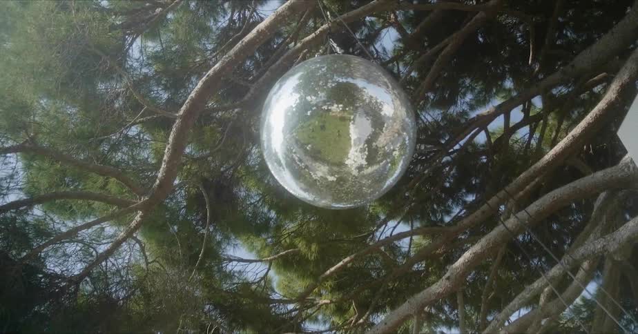 The disco ball shines hanging from the tree