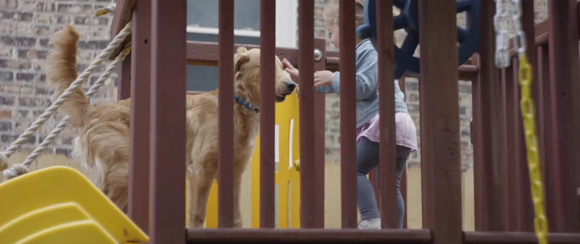 A dog runs up to a girl on a playground set