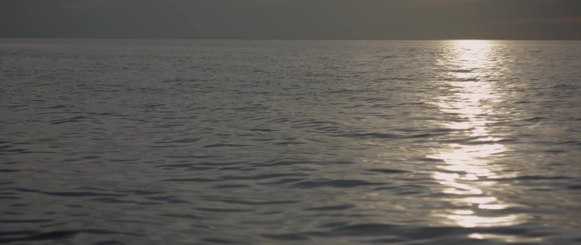 The sunlight shines on the waves in the lake