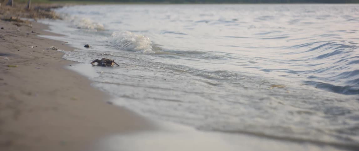 The tide flows onto the beach shore