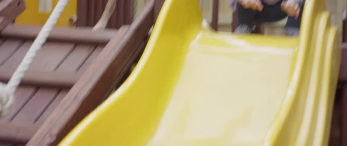 A young girl and dog play on a playground set