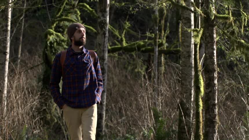 A man walks and looks around in a forest
