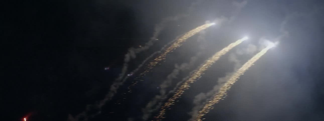 Fireworks explode in the dark sky