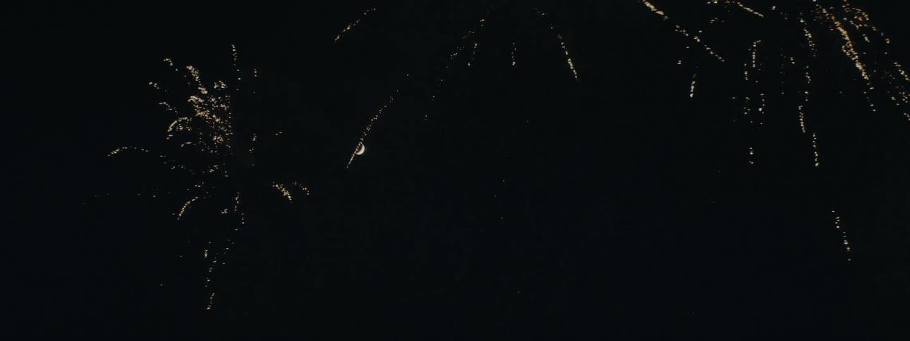 The fireworks shoot up into the night sky