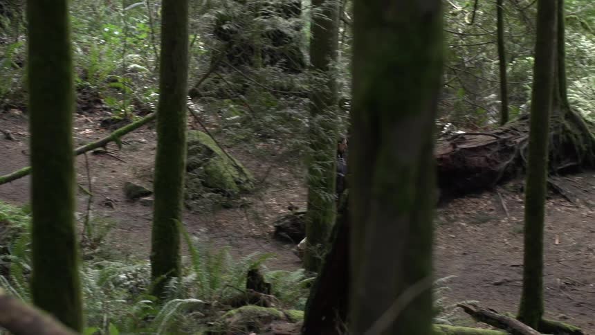 A man walks through the woods