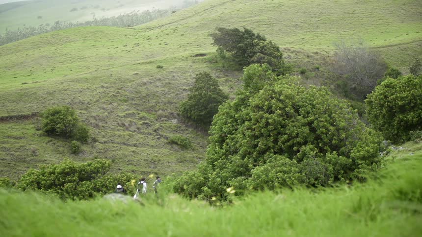 Hawaii Scenics