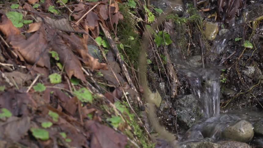 View of a stream of water going down some grass and rocks