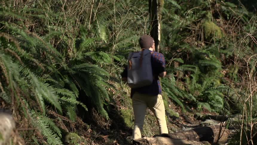 A man hikes through the woods