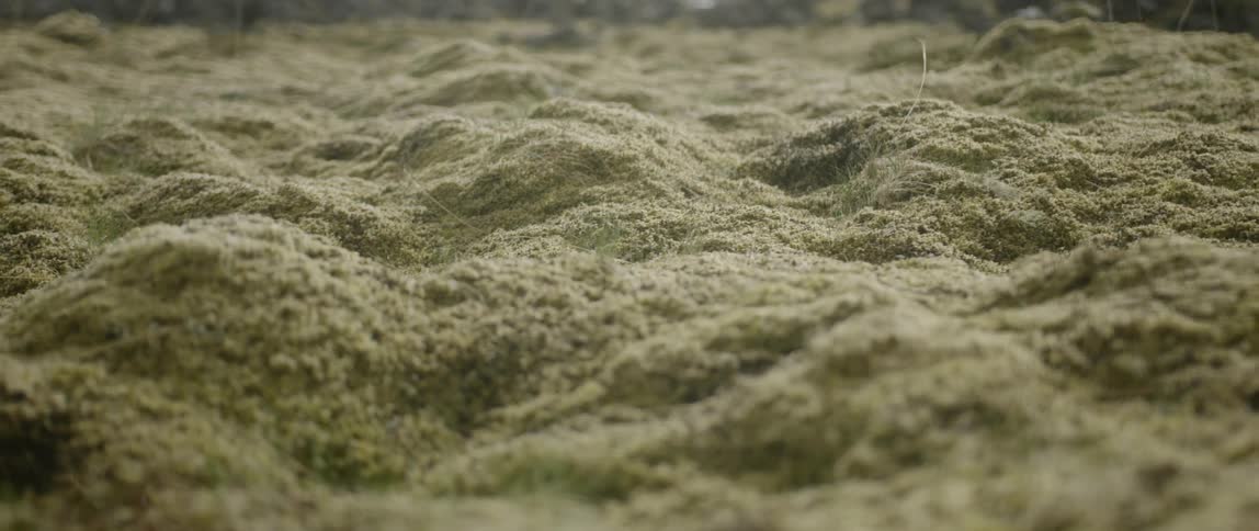 The sand is calm and yellow