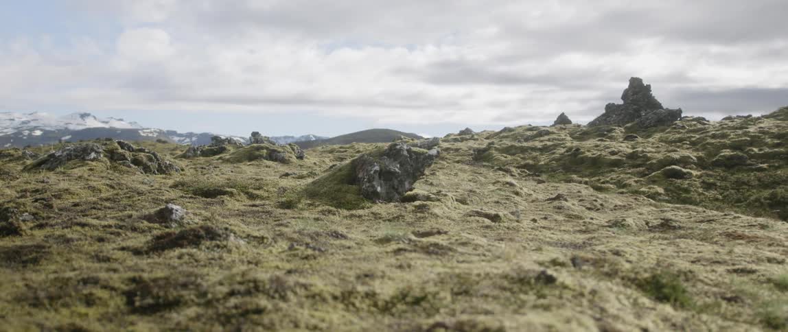 The mountain top is covered with grass