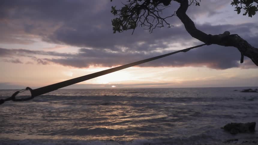 A hammock is attached to a tree on a beach at sunset