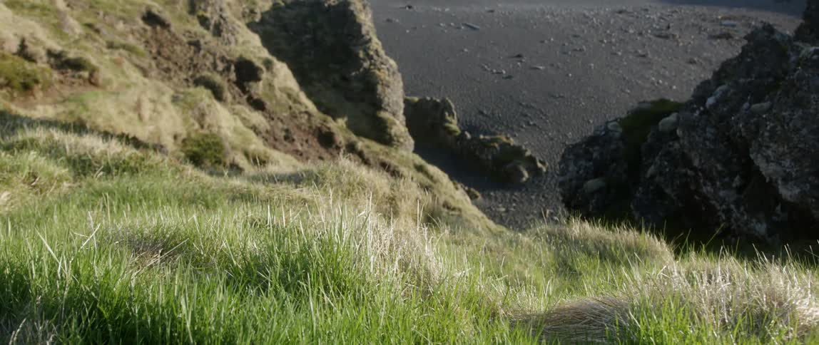 The hills are covered with grass by the shore