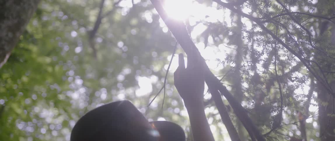 The person wearing a hat touches the branch