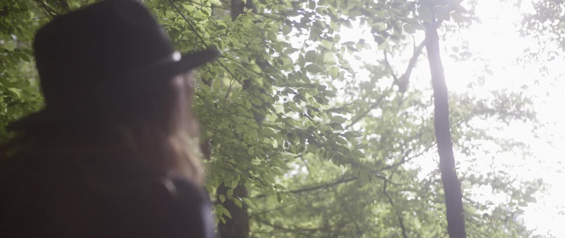 The woman looks up at the top of the trees
