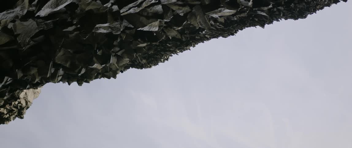 Water drips from the tree limb under a cloudy sky
