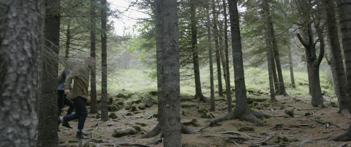 A man and woman hold hands while running in a forest