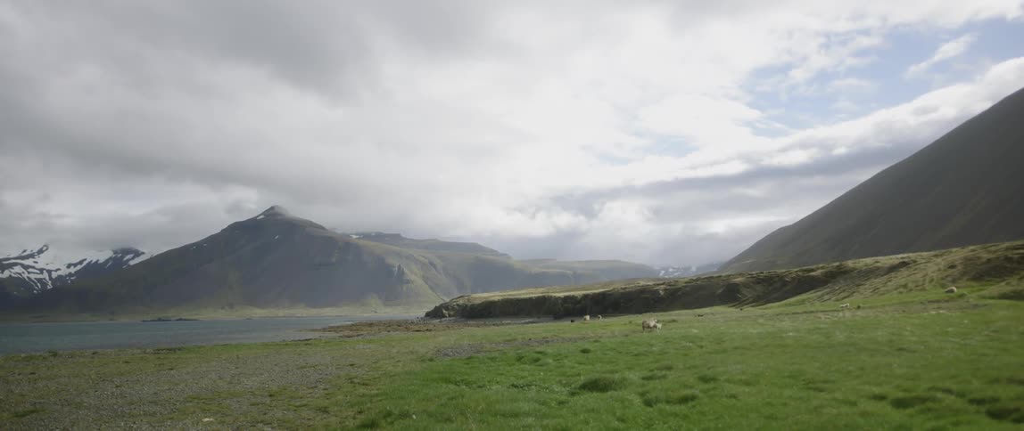 The green field leads to mountains