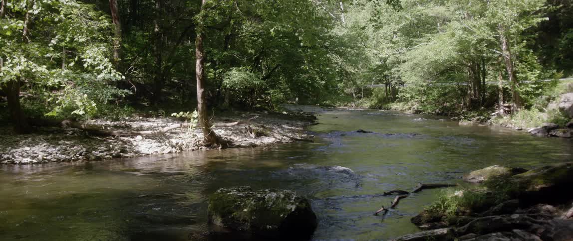 Stream of water flows quickly over rocks in between trees