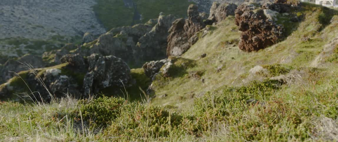 The cliff has rocks and grass below