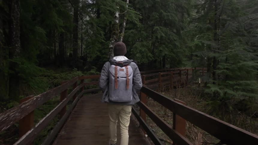 A person with a backpack walks on a wooden bridge in a forest