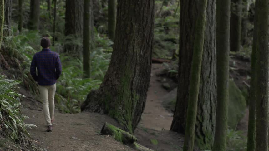 Man walking down a forest path
