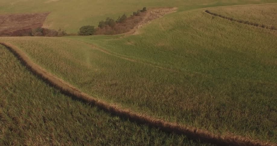 Aerial view of a huge field with only one small path on a cloudy day