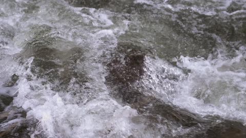 Water rushes over rocks
