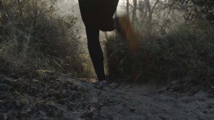 Person runs on a sandy path through the woods on a sunny day