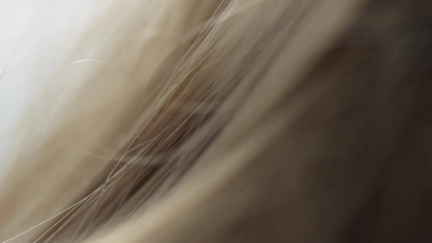 A breeze blows through blond hair