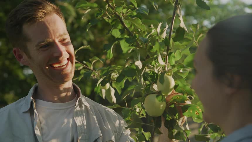 A man and woman talk while harvesting apples