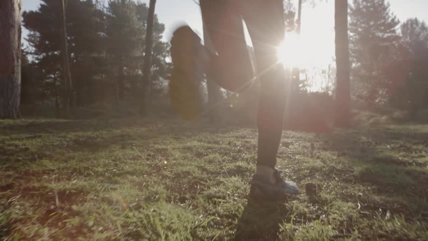 A man jogs in a forest on a sunny day