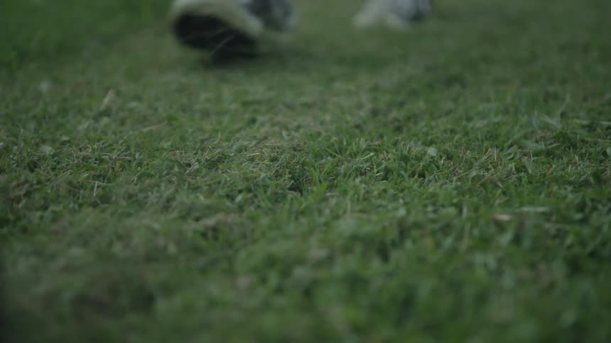 A man mows a lawn with a push lawnmower