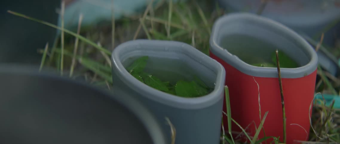 The containers are full of water and leaves