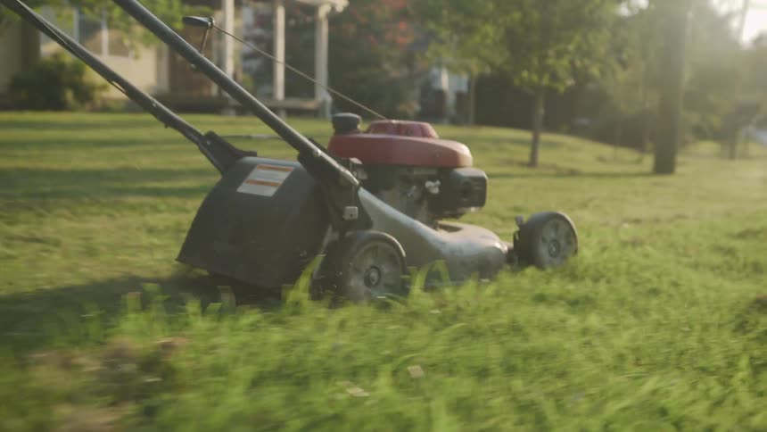 Camera Follows Mower in Sunny Yard