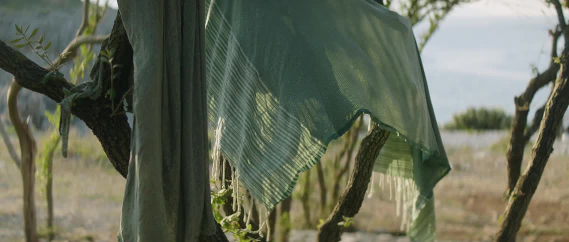 The wind blows the scarfs hanging on the tree