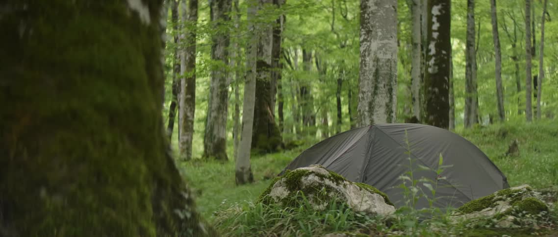 Tent outside in the woods