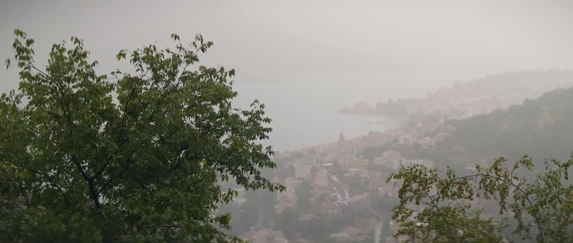 Trees on a mountain top overlooking water and a village below