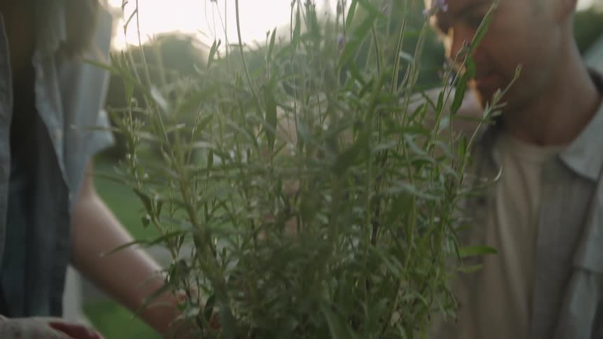 A man and woman pot a plant on a front porch