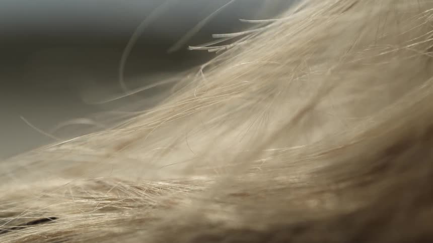 The wind blows the strands of blonde hair