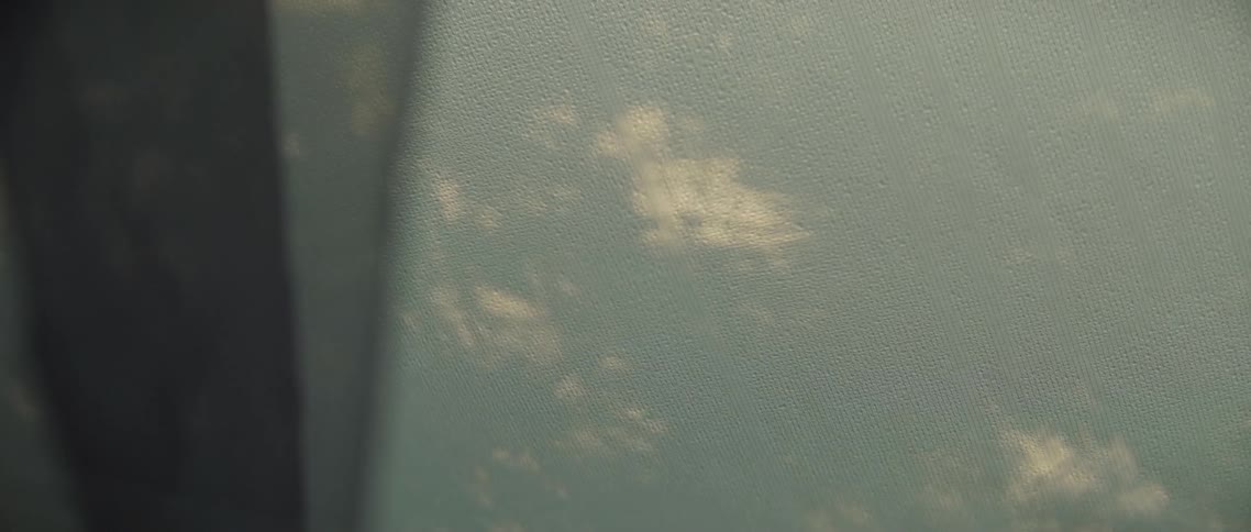 The sun and trees create a shadow on the wall of the tent