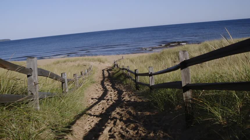 A sandy path leads to a beach