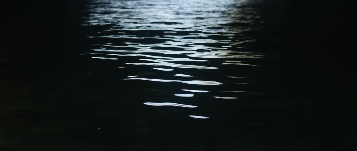 The water is dark and moving slowly