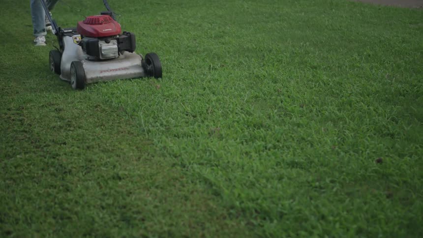 The person is pushing the mower on the green grass