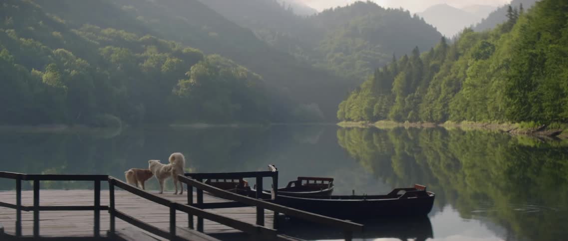 Two dogs walk on the edge of a dock by a lake