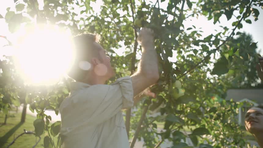 The woman and man examine a tree trimming an apple off