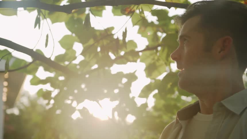 A man rakes under the tree
