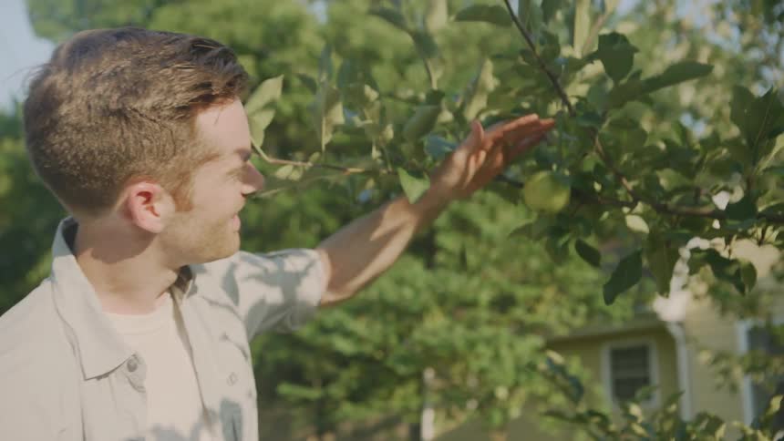 A man smiles as he looks at fruit growing on a tree branch