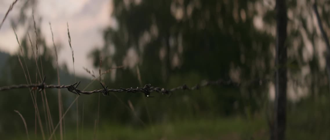 A barbed wire fence stands in a rural field at sunset